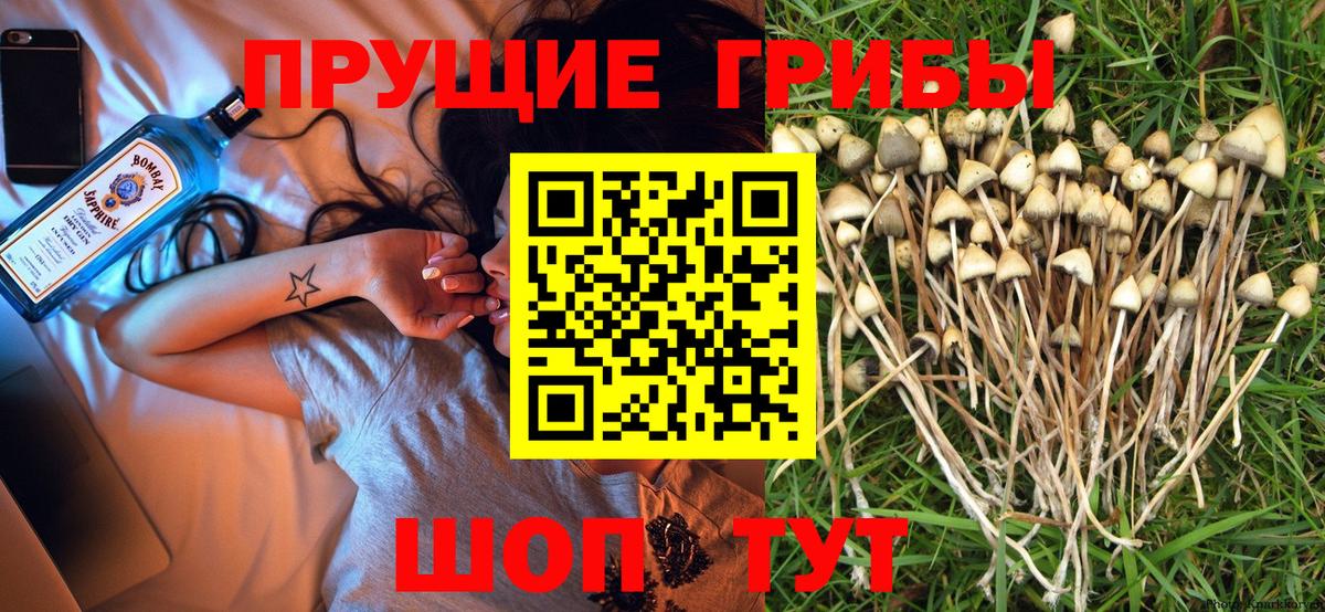 Псилоцибиновые грибы прущие грибы  закладка  Ижевск  Вход с VPN 